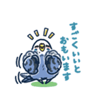 セキセイインコLINEスタンプ 青白ちゃん（個別スタンプ：11）