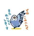 セキセイインコLINEスタンプ 青白ちゃん（個別スタンプ：12）