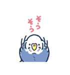 セキセイインコLINEスタンプ 青白ちゃん（個別スタンプ：15）