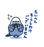 セキセイインコLINEスタンプ 青白ちゃん（個別スタンプ：17）