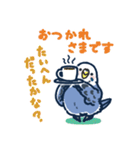 セキセイインコLINEスタンプ 青白ちゃん（個別スタンプ：19）