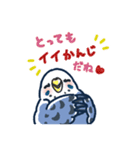 セキセイインコLINEスタンプ 青白ちゃん（個別スタンプ：21）