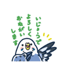 セキセイインコLINEスタンプ 青白ちゃん（個別スタンプ：26）