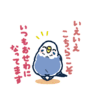 セキセイインコLINEスタンプ 青白ちゃん（個別スタンプ：28）