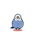 セキセイインコLINEスタンプ 青白ちゃん（個別スタンプ：29）