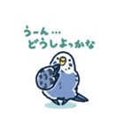 セキセイインコLINEスタンプ 青白ちゃん（個別スタンプ：30）