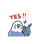 セキセイインコLINEスタンプ 青白ちゃん（個別スタンプ：32）