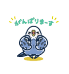 セキセイインコLINEスタンプ 青白ちゃん（個別スタンプ：36）