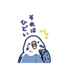 セキセイインコLINEスタンプ 青白ちゃん（個別スタンプ：37）