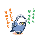 セキセイインコLINEスタンプ 青白ちゃん（個別スタンプ：38）