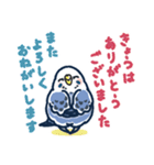 セキセイインコLINEスタンプ 青白ちゃん（個別スタンプ：39）