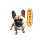 トッティ3（個別スタンプ：2）