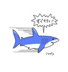 サメのいろいろスタンプ（個別スタンプ：10）