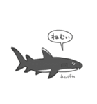 サメのいろいろスタンプ（個別スタンプ：23）