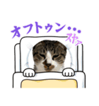 MALUちゃんの日常②（個別スタンプ：6）