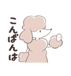 SWEET DOG POODLE 1（個別スタンプ：4）