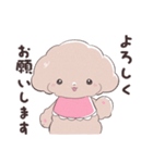 SWEET DOG POODLE 1（個別スタンプ：6）