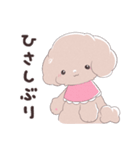 SWEET DOG POODLE 1（個別スタンプ：7）