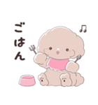 SWEET DOG POODLE 1（個別スタンプ：13）