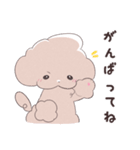 SWEET DOG POODLE 1（個別スタンプ：16）