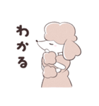 SWEET DOG POODLE 1（個別スタンプ：17）