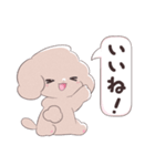 SWEET DOG POODLE 1（個別スタンプ：23）