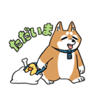 着ぐるみのような柴犬（個別スタンプ：7）