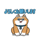 着ぐるみのような柴犬（個別スタンプ：14）