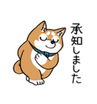 着ぐるみのような柴犬（個別スタンプ：16）