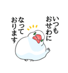 めんこい文鳥4（個別スタンプ：5）