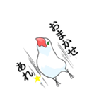 めんこい文鳥4（個別スタンプ：7）