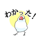 めんこい文鳥4（個別スタンプ：11）