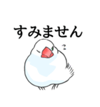 めんこい文鳥4（個別スタンプ：13）