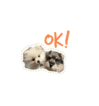 BEALの毎日スタンプ（個別スタンプ：1）