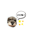 BEALの毎日スタンプ（個別スタンプ：3）
