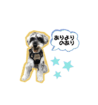 BEALの毎日スタンプ（個別スタンプ：21）