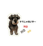 BEALの毎日スタンプ（個別スタンプ：37）