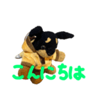 ぽりちゃんスタンプ第3弾（個別スタンプ：6）
