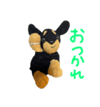ぽりちゃんスタンプ第3弾（個別スタンプ：7）