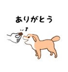 日常シンプル♡犬のデンデンイ（個別スタンプ：4）