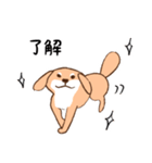 日常シンプル♡犬のデンデンイ（個別スタンプ：9）