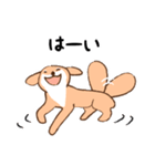 日常シンプル♡犬のデンデンイ（個別スタンプ：11）