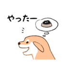 日常シンプル♡犬のデンデンイ（個別スタンプ：12）