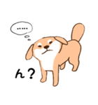 日常シンプル♡犬のデンデンイ（個別スタンプ：13）