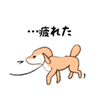 日常シンプル♡犬のデンデンイ（個別スタンプ：23）
