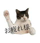 おしごと睦月さん（個別スタンプ：1）