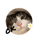 おしごと睦月さん（個別スタンプ：11）