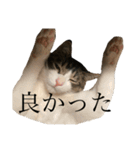 おしごと睦月さん（個別スタンプ：13）