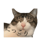 おしごと睦月さん（個別スタンプ：15）