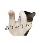 おしごと睦月さん（個別スタンプ：16）